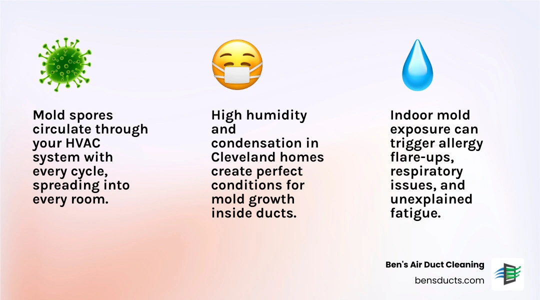 Infographic showing 7 signs of mold in air ducts and how spores spread through home ventilation system infographic