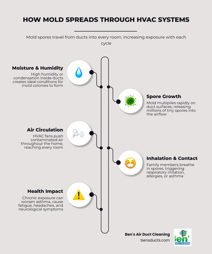 Infographic showing how mold spreads through HVAC ducts and the health risks it causes in each room infographic Infographic showing how mold spreads through HVAC ducts and the health risks it causes in each room infographic