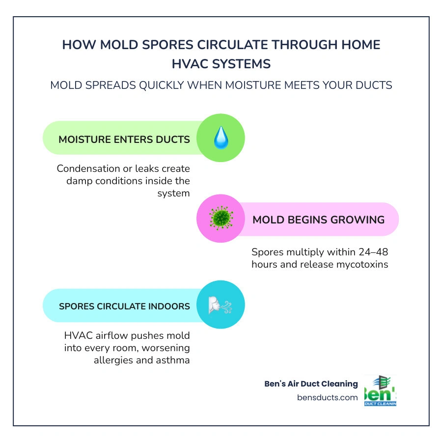 Infographic showing how mold spores circulate through home HVAC air ducts and affect indoor air quality infographic