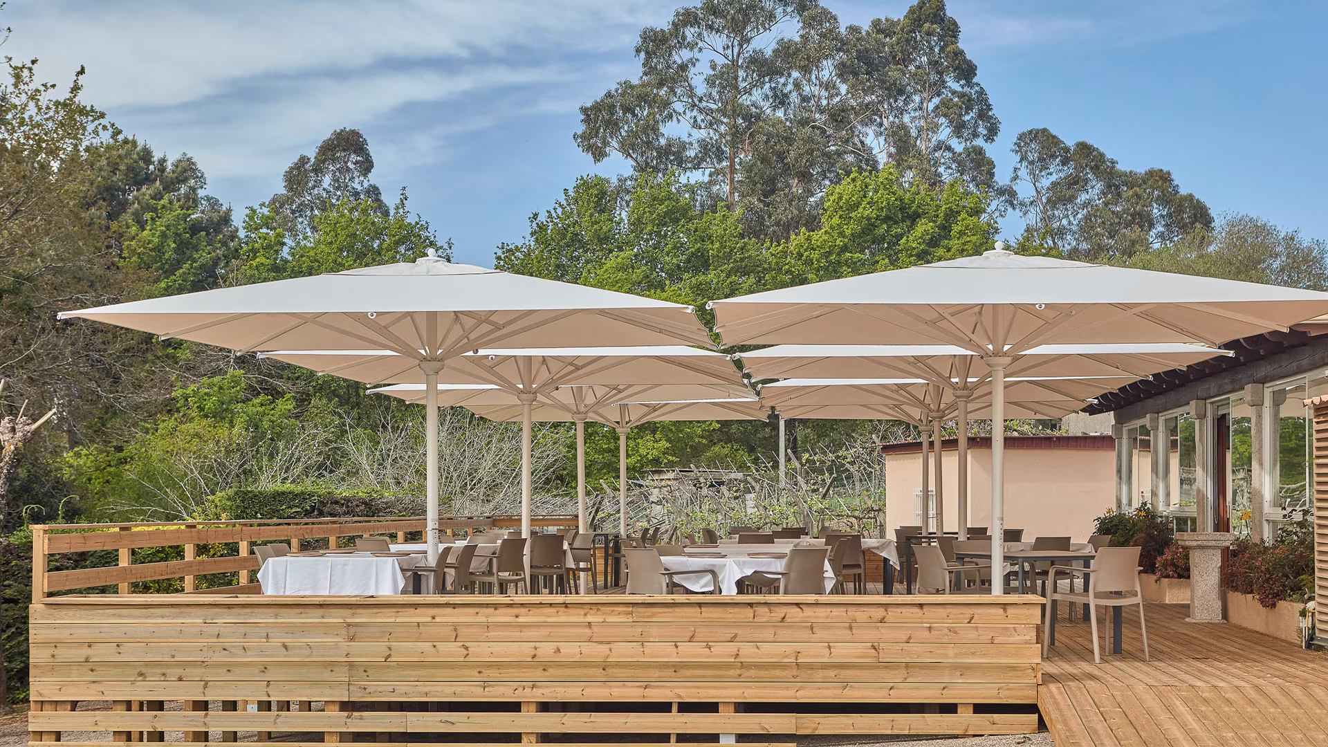 Professional telescopic parasol