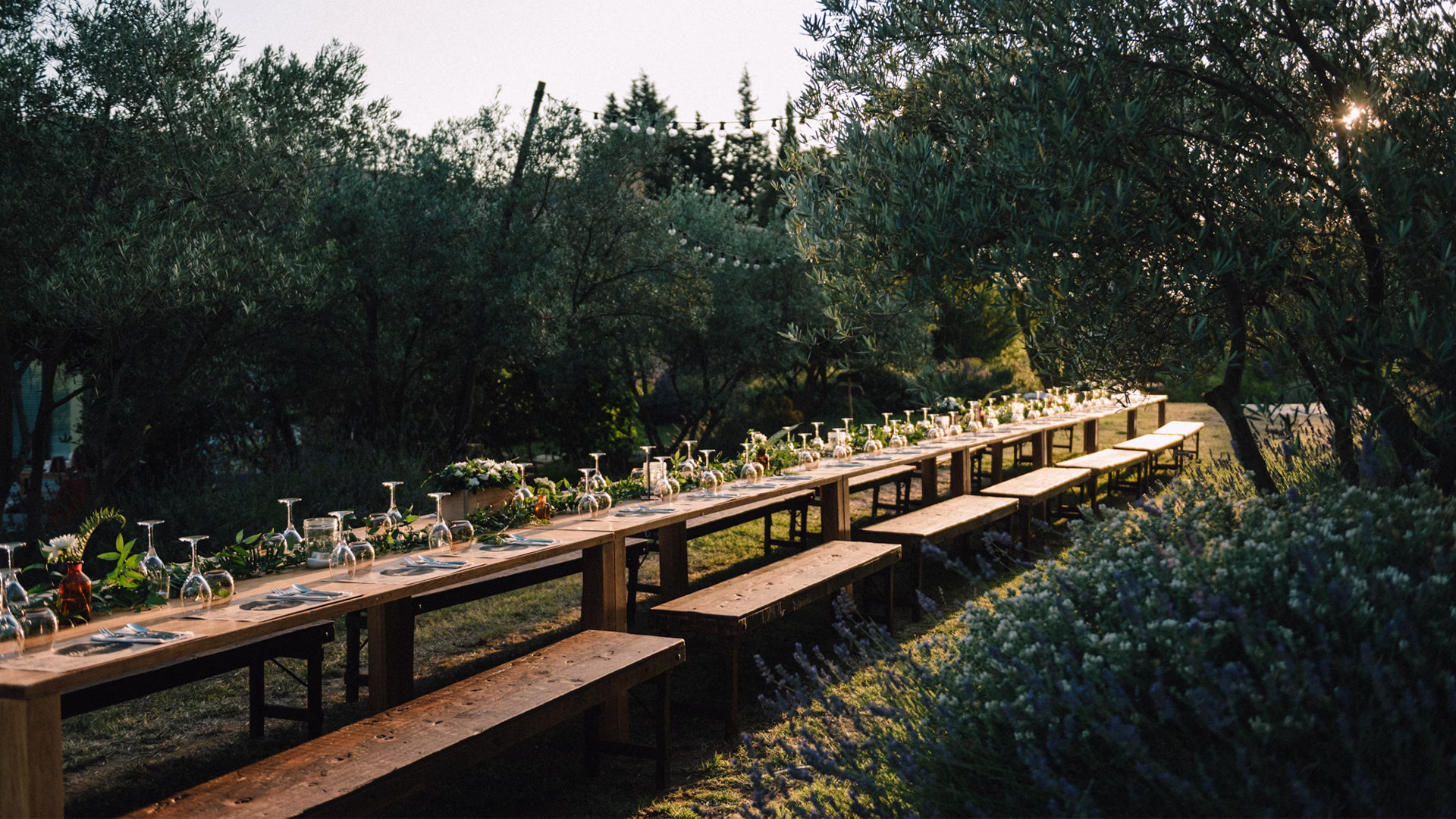 Léon bench
