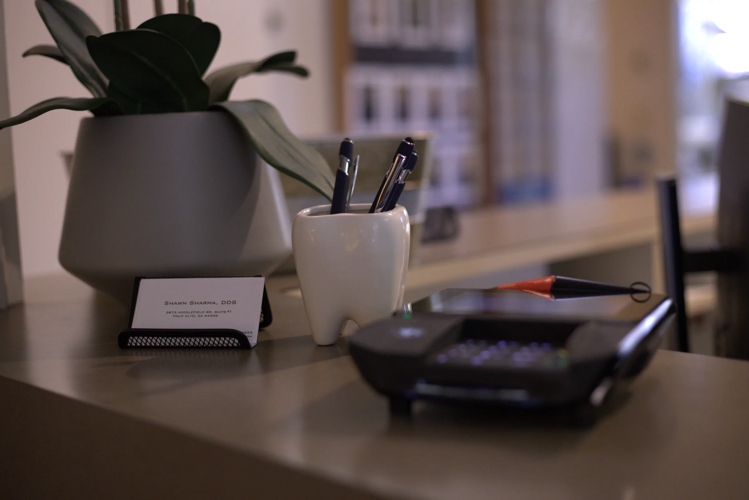 The front desk with a potted plant