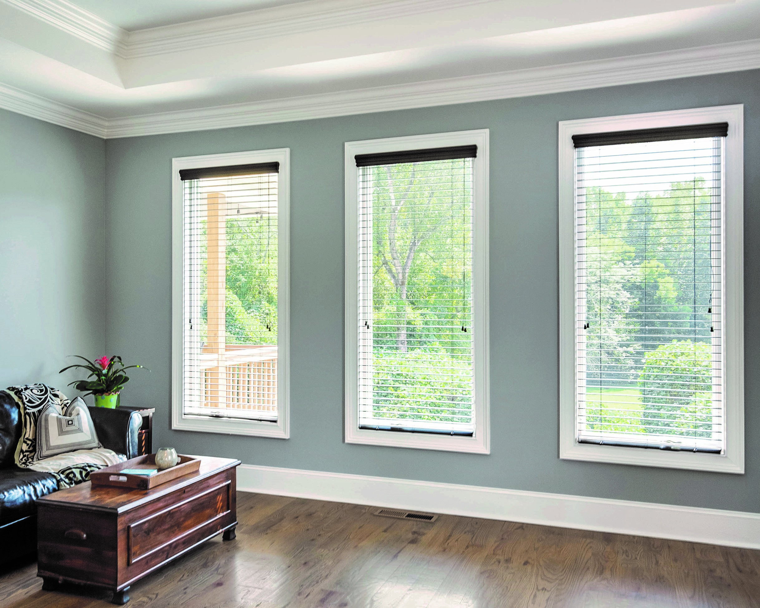 new windows in Santa Monica