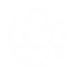 Globe icon representing the web to access a website.