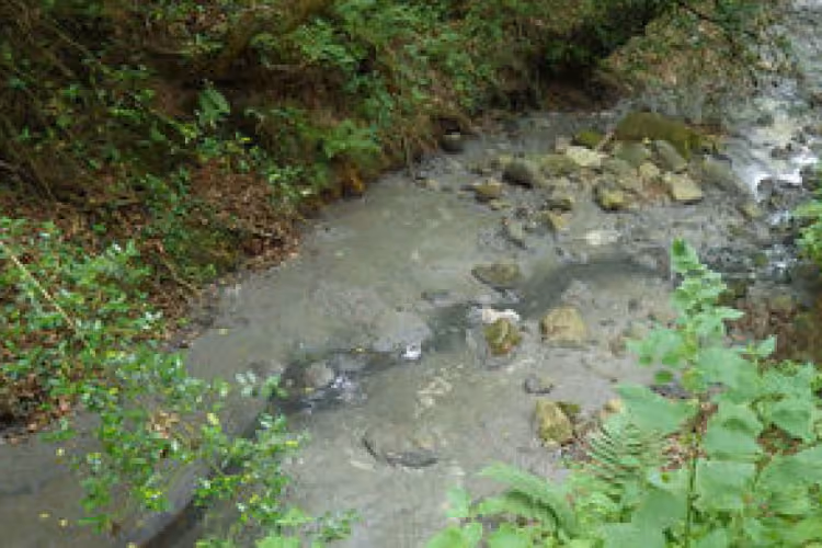 A Pivotal Shift Towards Environmental Accountability