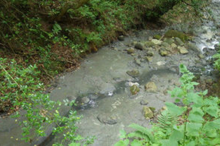 A Pivotal Shift Towards Environmental Accountability