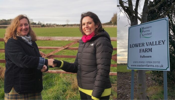 Cambridge South Station: Pioneering Biodiversity and Wildlife Conservation