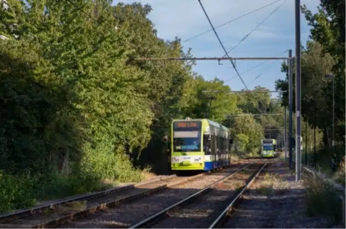 TfL Unveils Ambitious Green Infrastructure and Biodiversity Plan