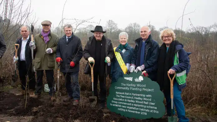 Thriving Railway Hedges Boost Biodiversity