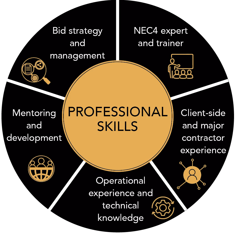 Skill set Graphic