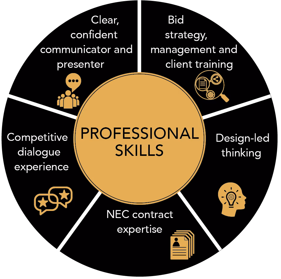 Skill set Graphic