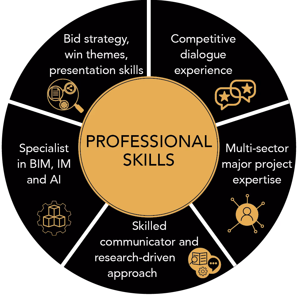 Skill set Graphic