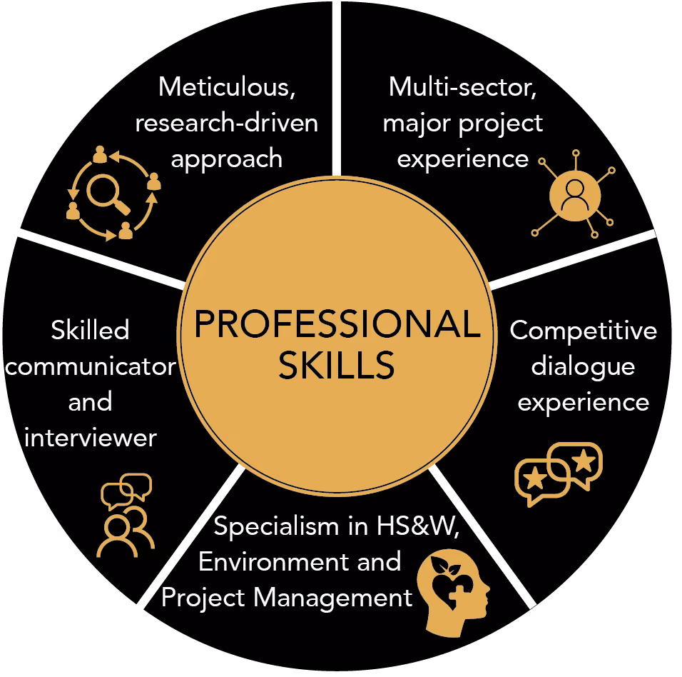 Skill set Graphic