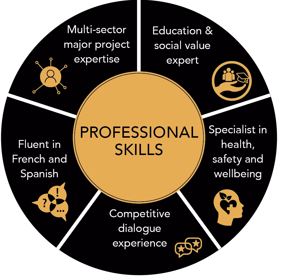 Skill set Graphic
