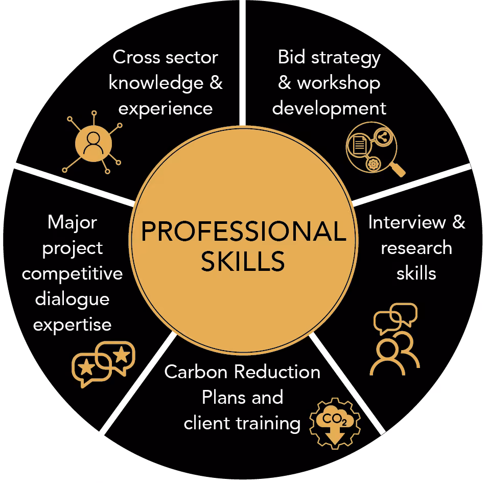 Skill set Graphic