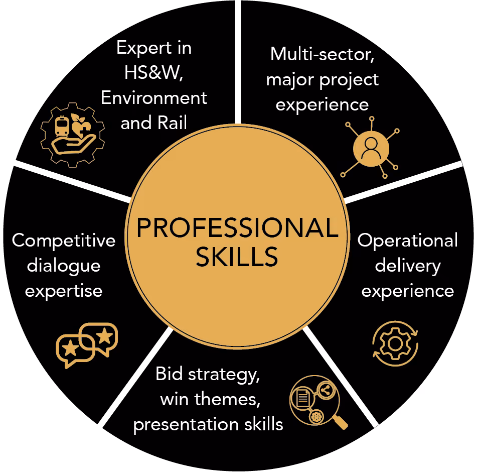 Skill set Graphic