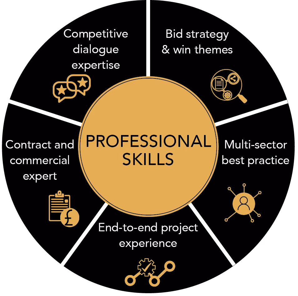 Skill set Graphic