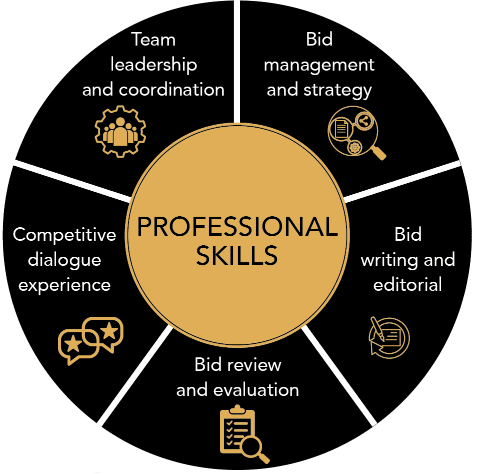 Skill set Graphic