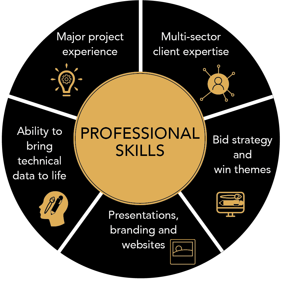Skill set Graphic