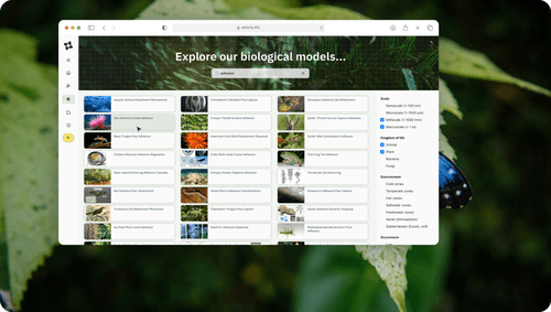 Website interface showing diverse biological adhesion models with categories by scale and environment.