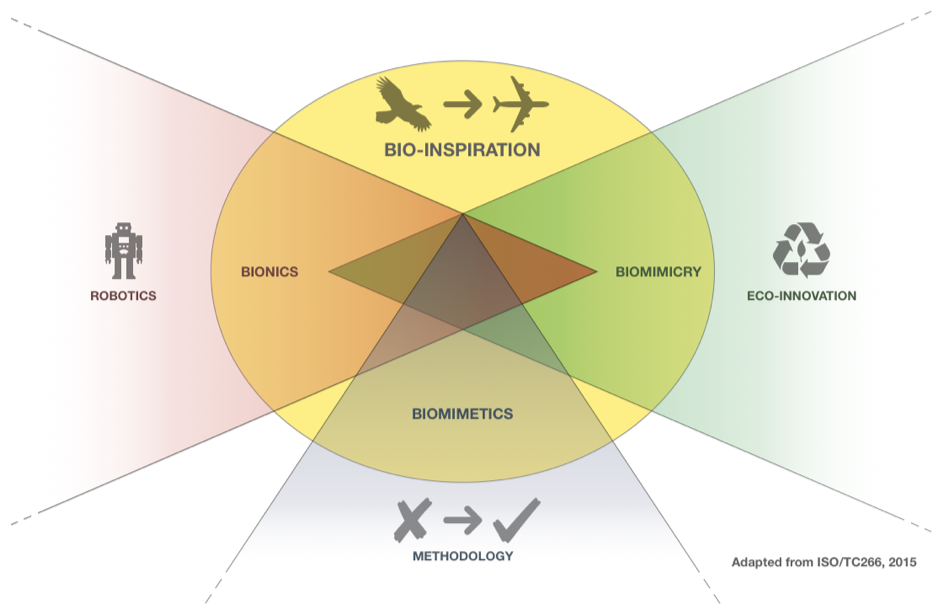 Biomimicry ISO/TC266