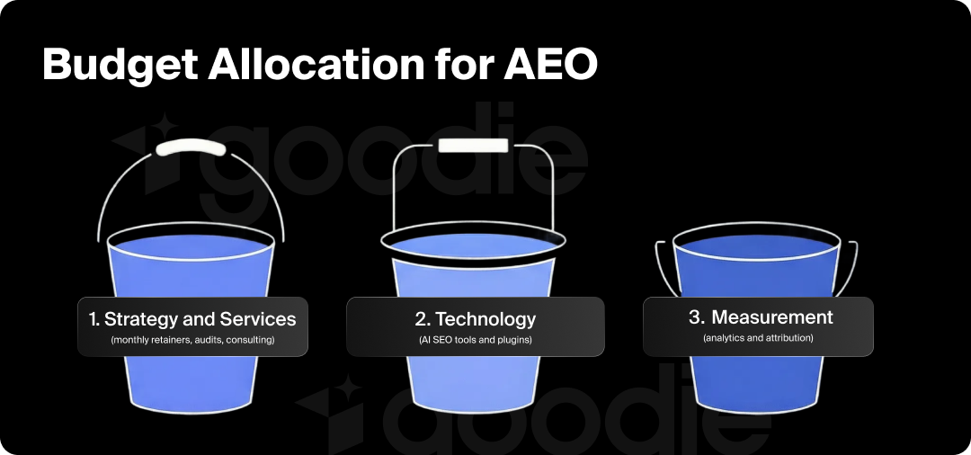 Graphic of budget allocation for AEO broken up into strategy, technology, and measurement.