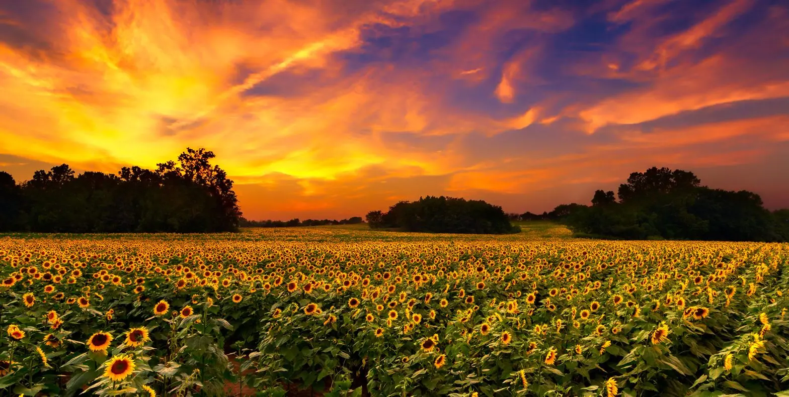 Non-invasive ultrasonic water submeter with cellular connectivity for easy installation without plumbers or Wi-Fi, helping recover water costs, detect leaks, and increase NOI