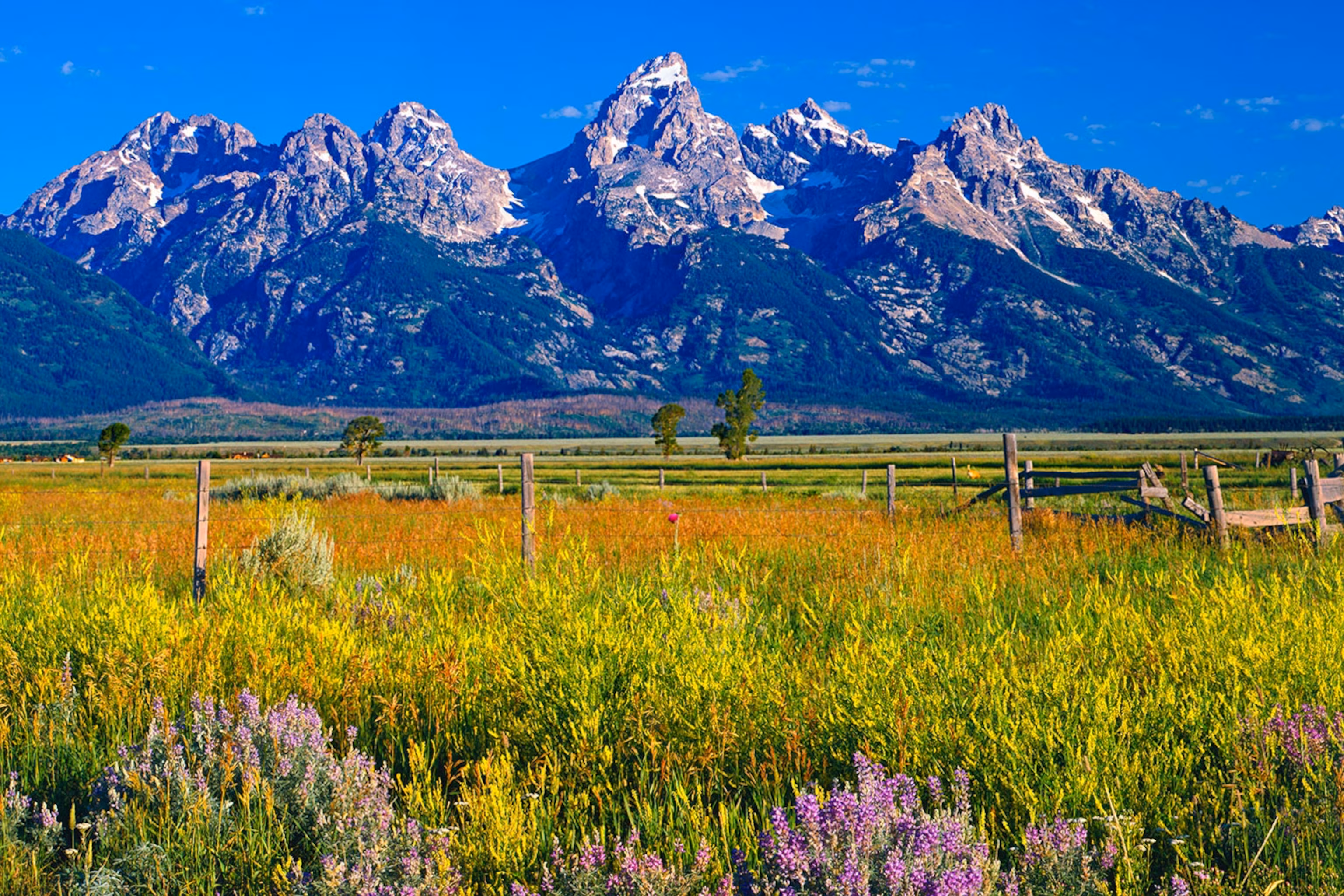 Non-invasive ultrasonic water submeter with cellular connectivity for easy installation without plumbers or Wi-Fi, helping recover water costs, detect leaks, and increase NOI