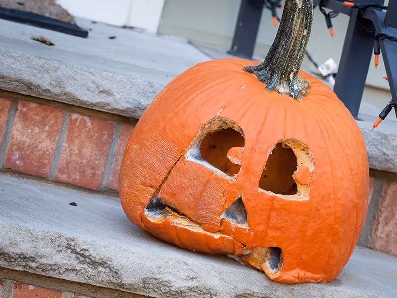 rotted pumpkin on a step