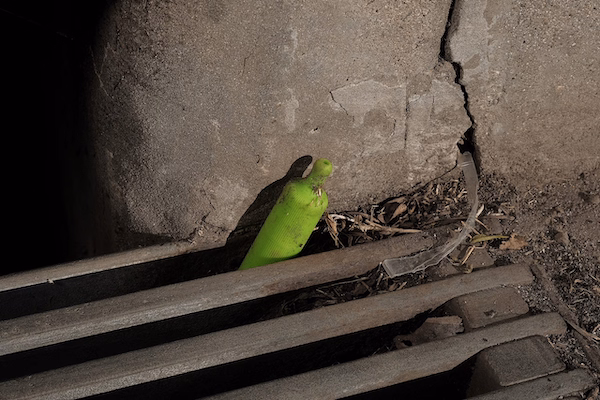a green tube sticking out of a hole in the ground