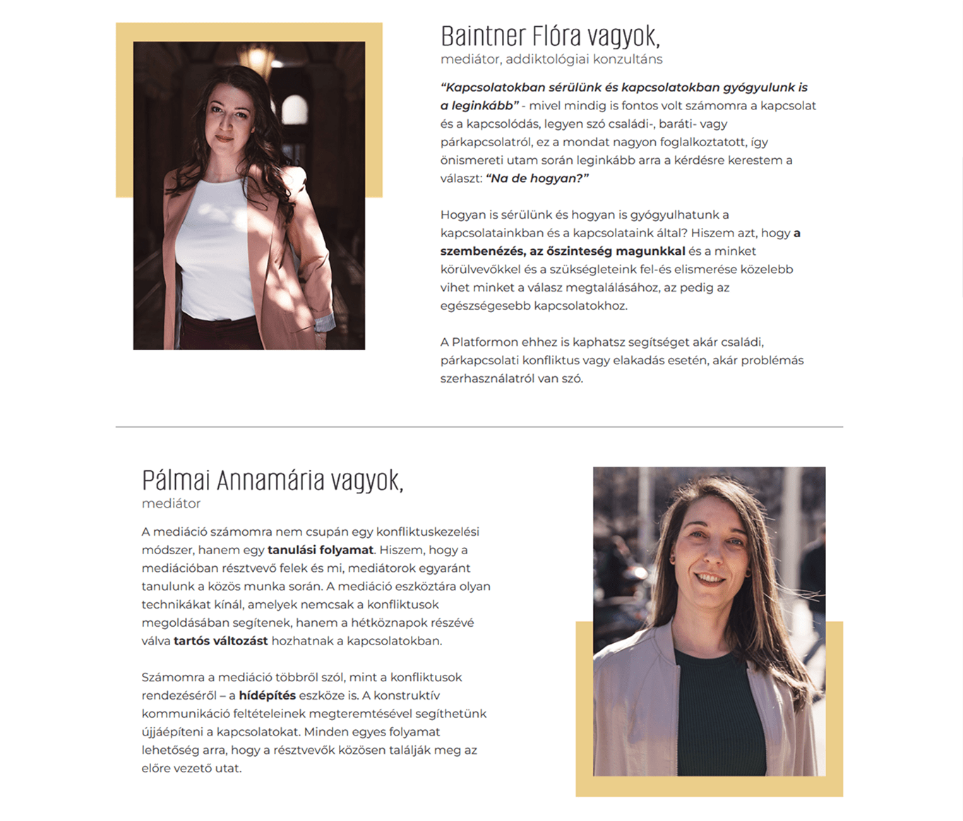 Practitioners introduction layout