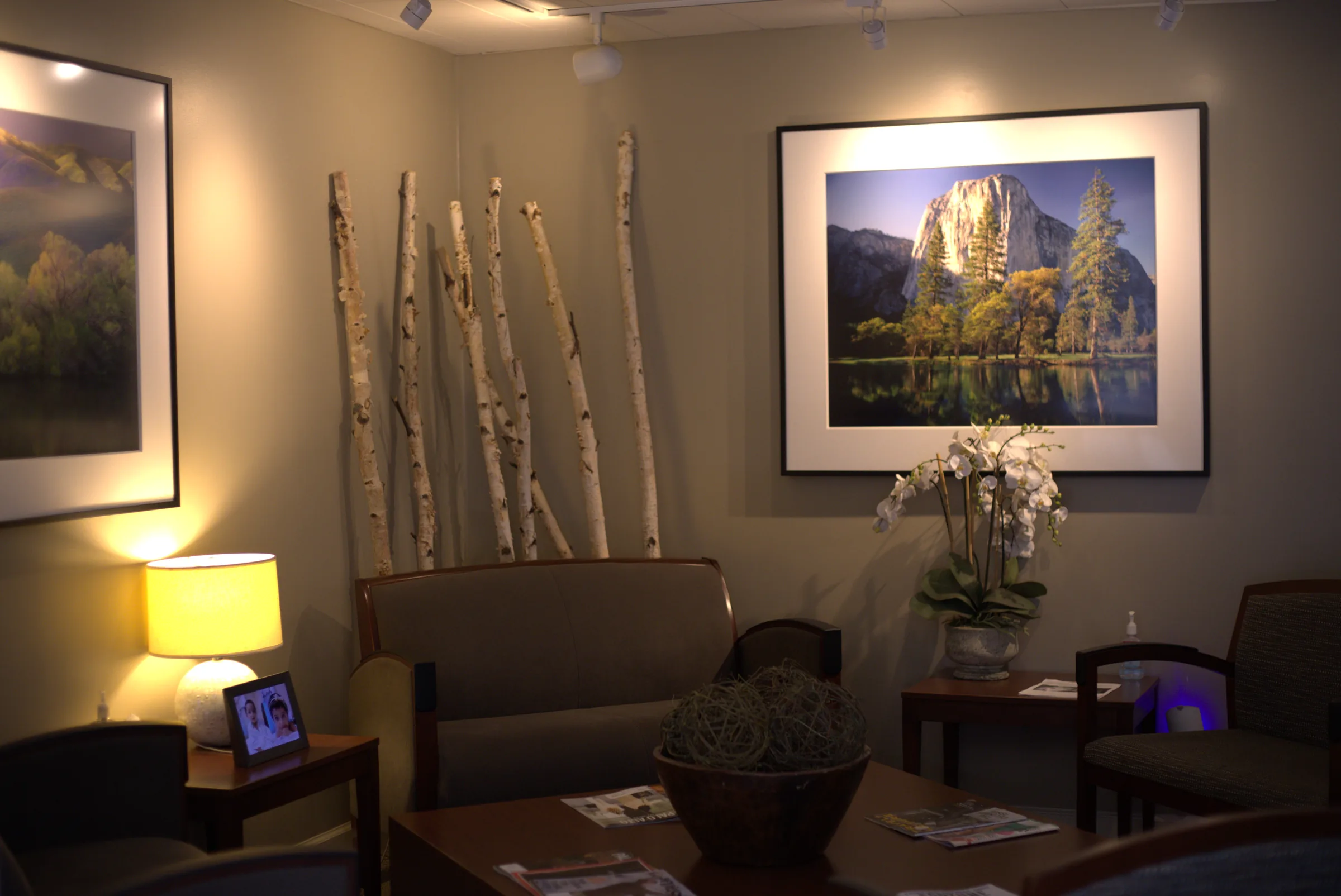 Waiting room at Palo Alto Oral Health with armchairs, a lamp and white orchids