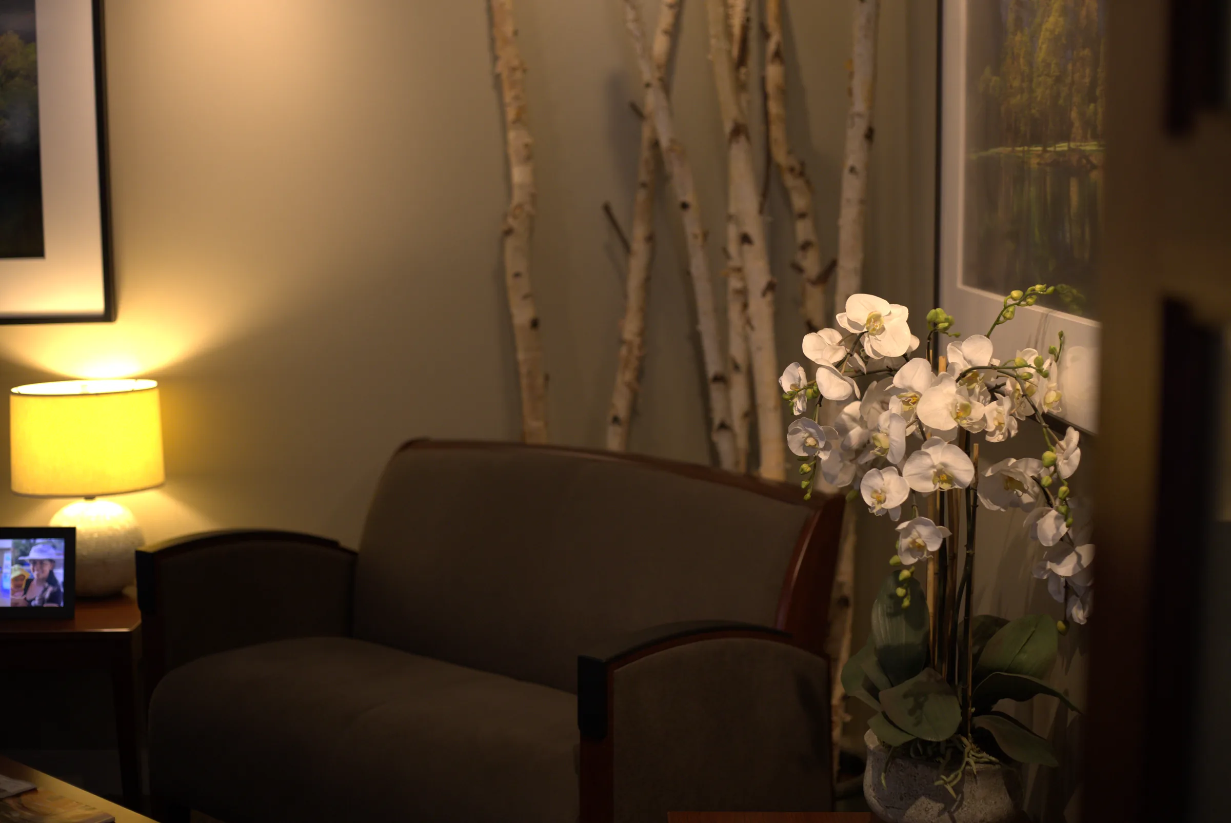 Seating area with birch branches and white orchids