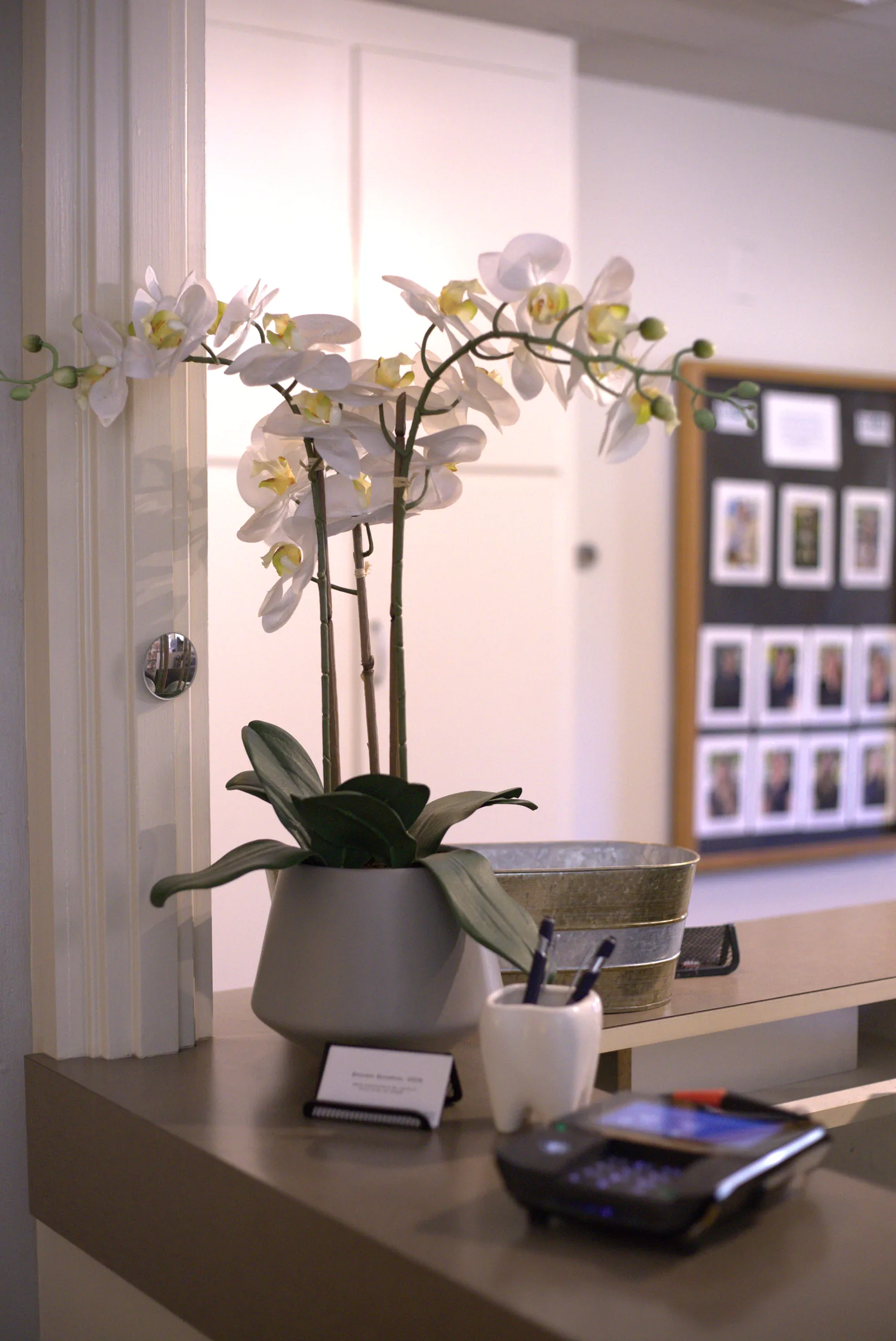 White orchid on the front desk