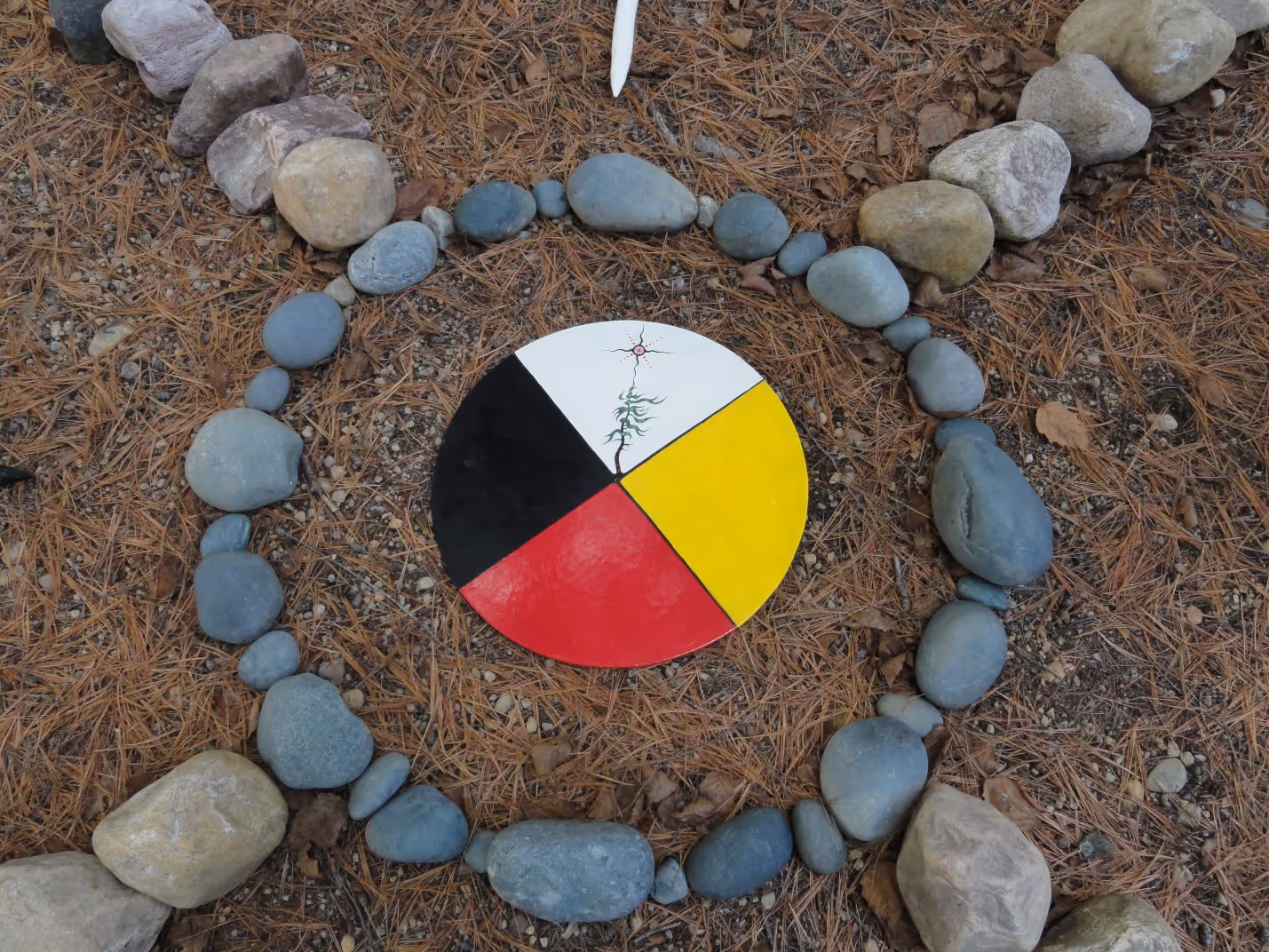 All the programming at NAYA is offered using the indigenous lens of the Relational Worldview Model. The model is the creation of our partners at the National Indian Child Welfare Association. The Relational Worldview is a nonlinear way of seeing the world and realizing that everything is interconnected. The model emphasizes the need for balance among the four areas of life: mind, body, spirit and social context. The mind is in balance when a person is relaxed, educated, and feels safe, and when mental illness and addiction are treated. The body is healthy when it is nourished, and when material affairs like money and housing are in order. The spirit of an individual is in balance when the person is proud of who they are and their heritage and makes good decisions. The social context is in balance when a person has a strong and supportive community of loving friends and family. When any one area of life is out of balance, a person experiences hardship. NAYA's diverse array of programming creates positive change, moving individuals along a lifetime continuum from needing services to being able to give back to the community materially and culturally.