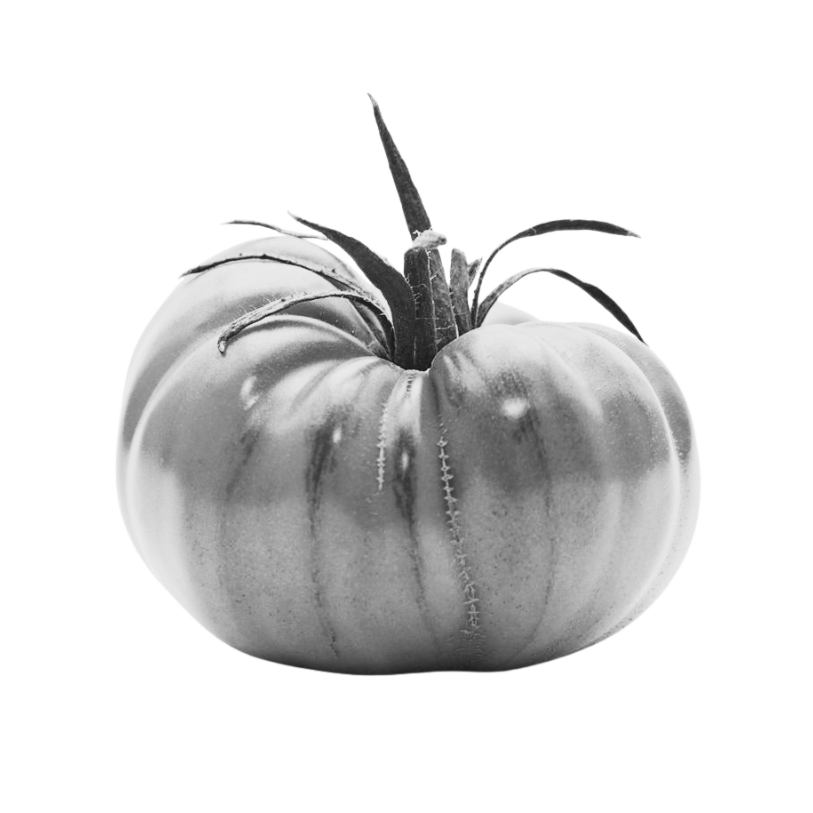 An heirloom tomato