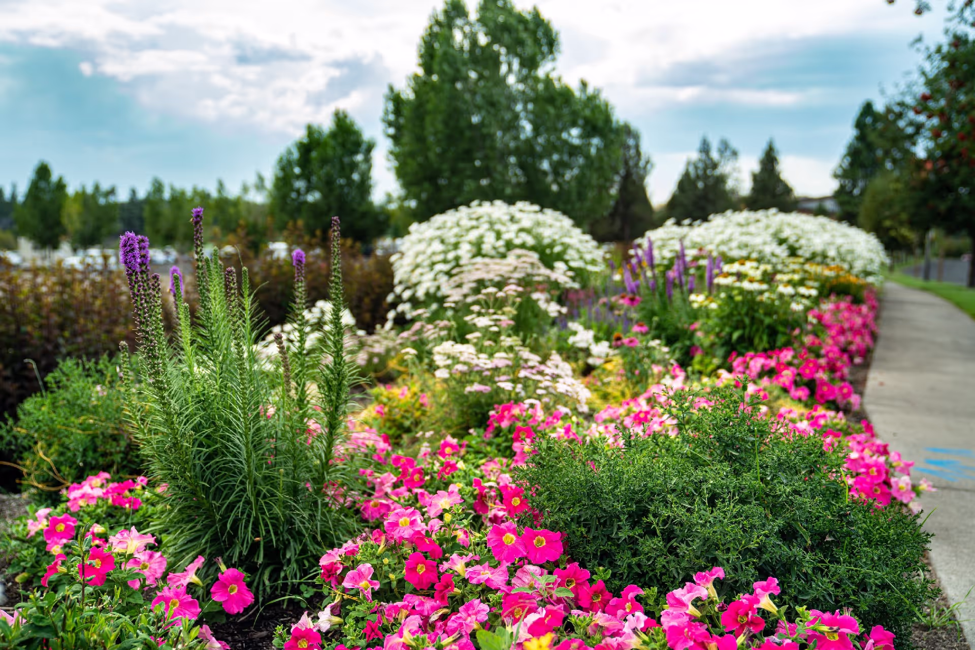 Millsite Landscape Services
