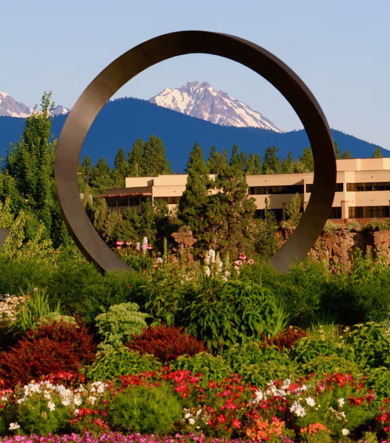 Millsite Landscape Services