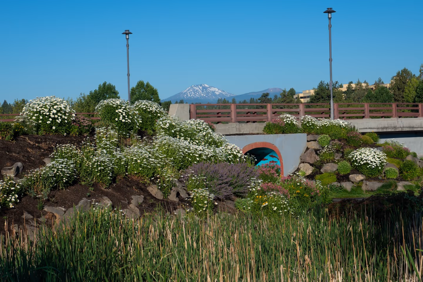 A serene, landscaped stream with rocks lining the banks, surrounded by green trees and reflecting the blue sky.