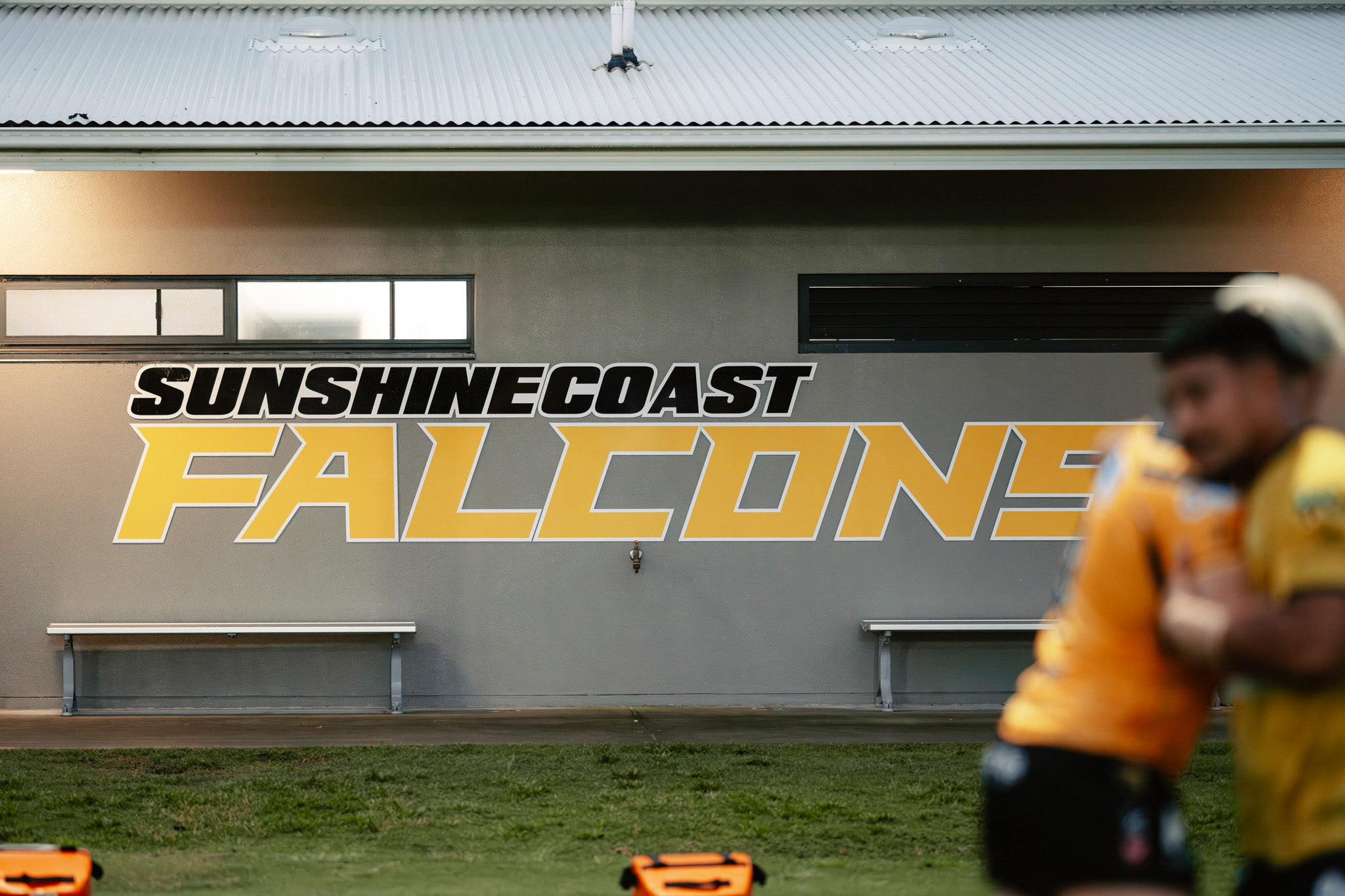 Sunshine Coast Falcons
