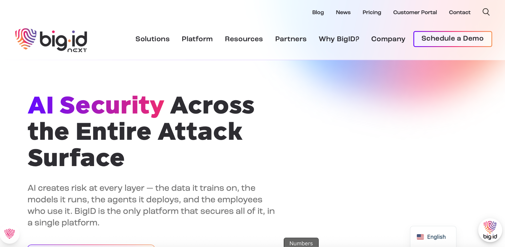 Big ID Homepage