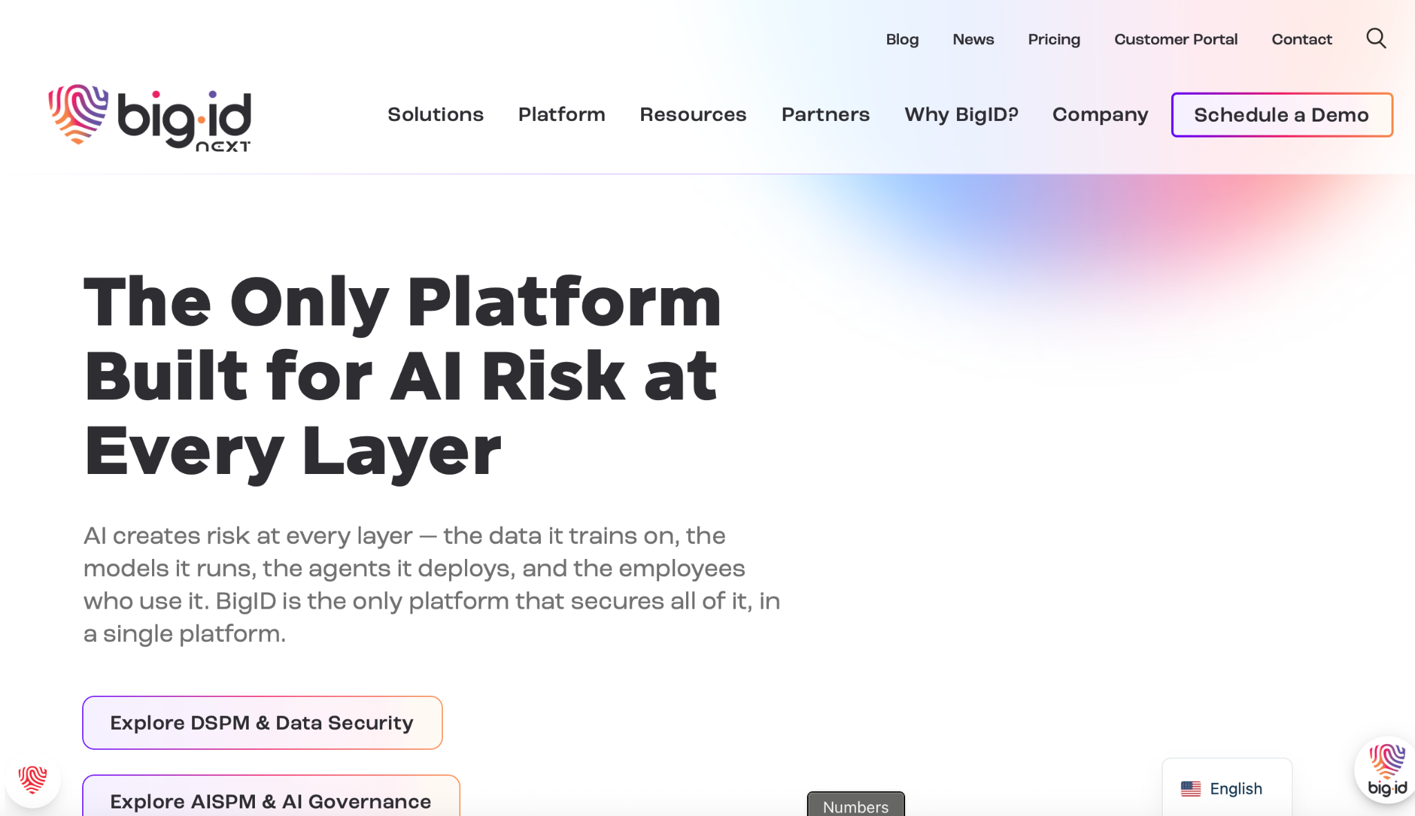 BigID Homepage