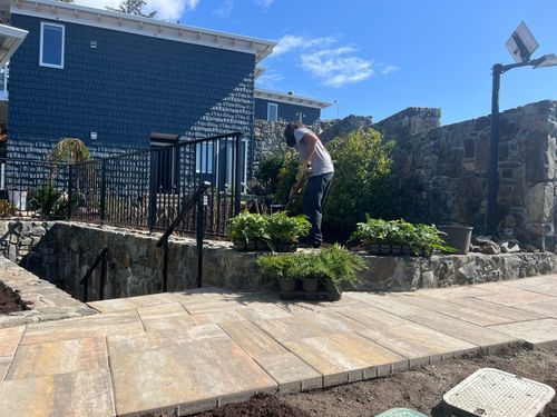 New Roots Landscaping photo 2