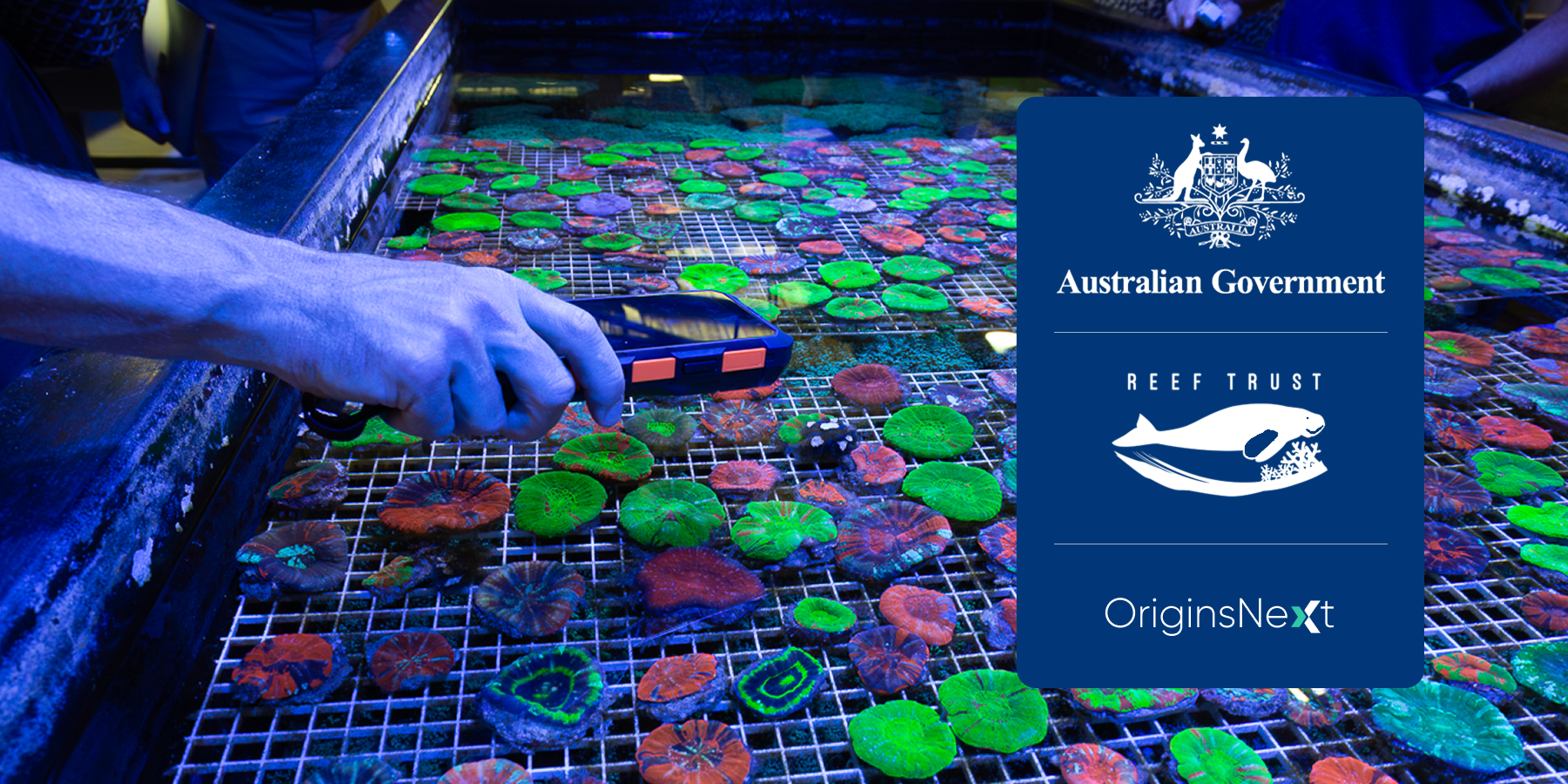 Imagem principal do post