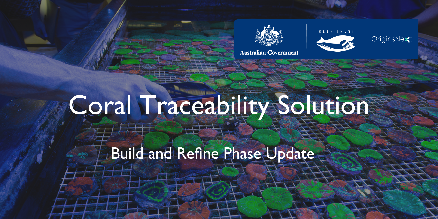 Imagem principal do post