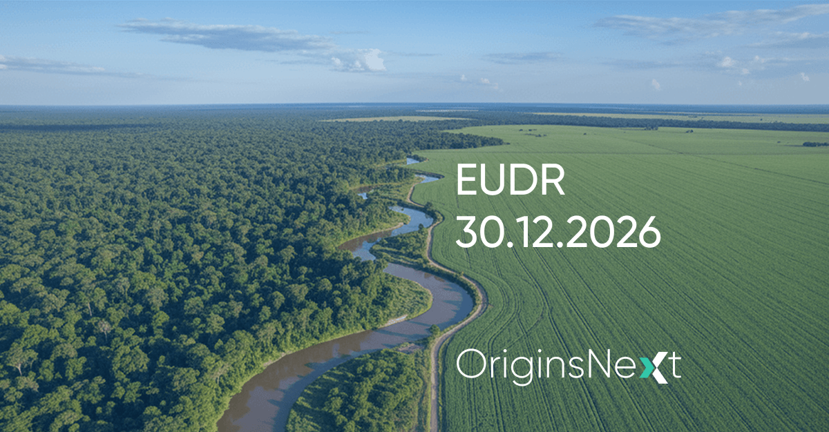 EUDR from 30 December 2026: what exporters need to have ready