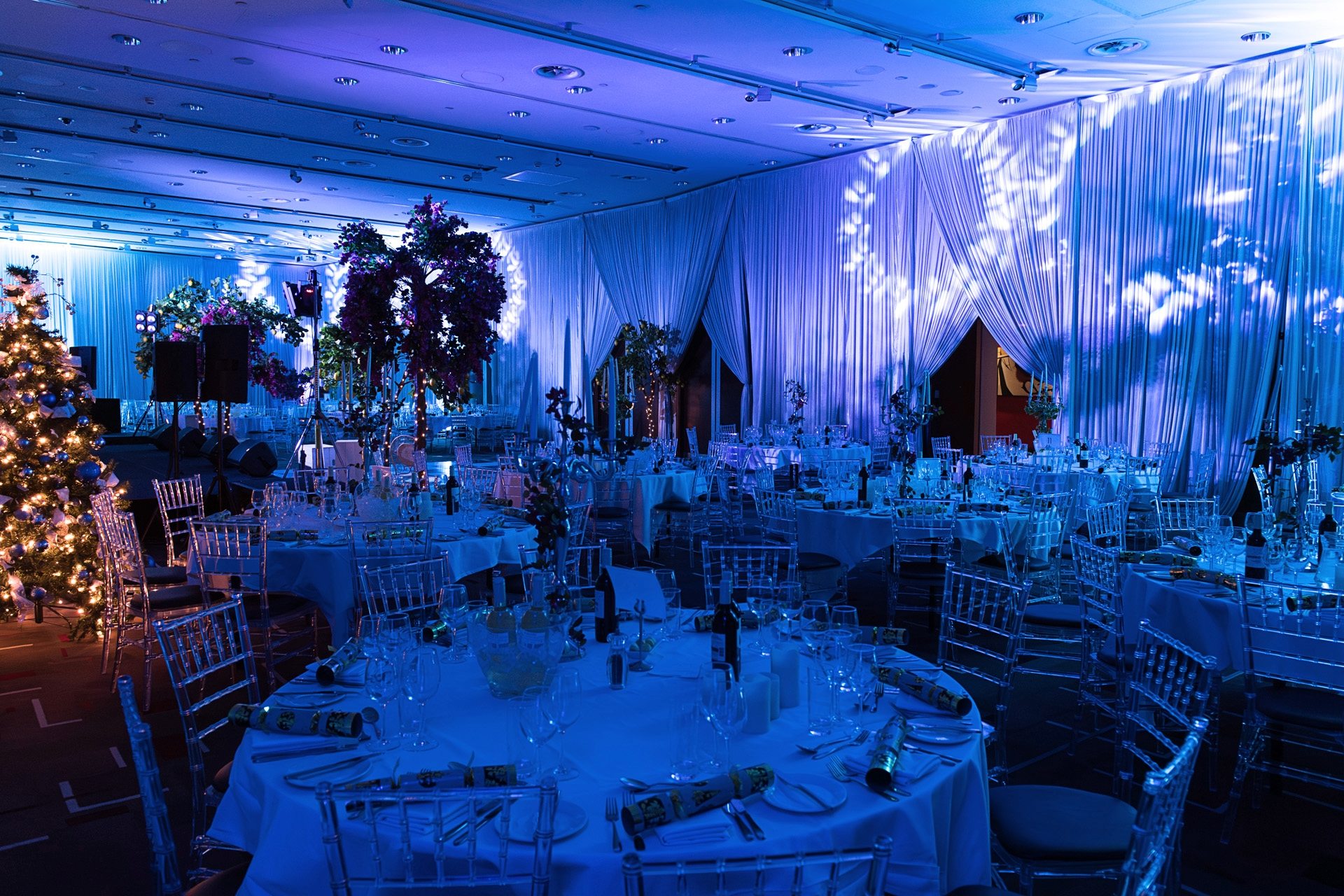 A draped function room dressed with olive trees and laid tables under blue lighting