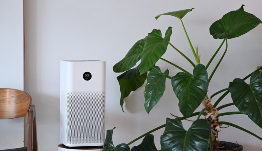 How Whole House Air Purification Eliminates Summer Allergens in Andover