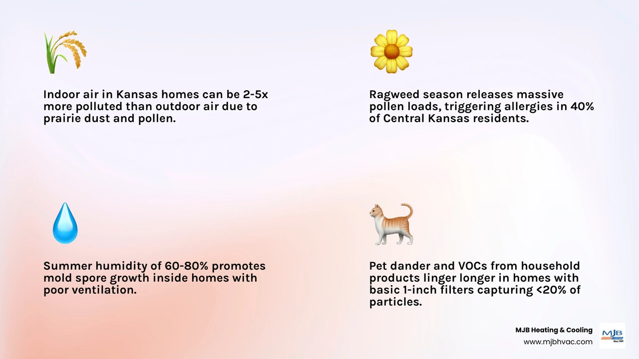 infographic showing common indoor air pollutants in Kansas homes including pollen dust mites pet dander mold spores VOCs and infographic showing common indoor air pollutants in Kansas homes including pollen dust mites pet dander mold spores VOCs and