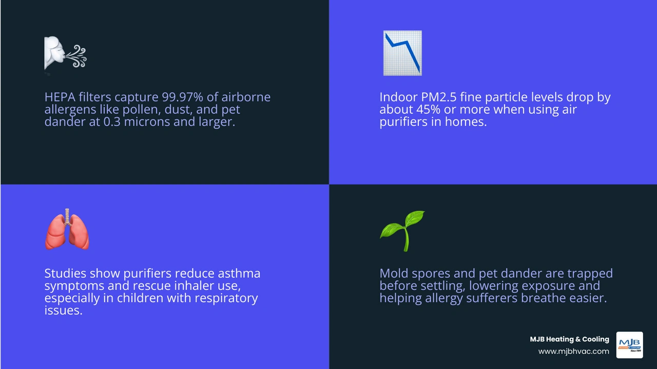 Infographic showing how air purifiers capture allergens, pollen, pet dander, mold spores, and PM2.5 particles through
